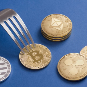 Hard Forks: A Good or Bad innovation for Cryptocurrency world?