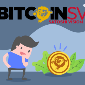Will BSV Valuation Work Towards Building the Future?