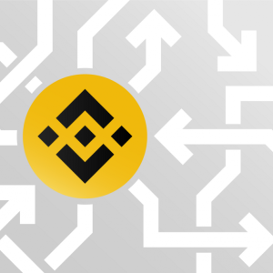 Binance Exchange is Testing Its Own Stablecoin On Its Native Chain