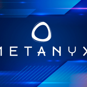 Metanyx Gears Up for 2020 With Interesting Roadmap