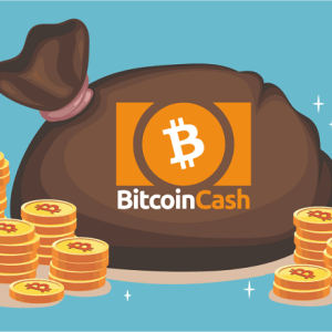 Bitcoin Cash (BCH) Is Your Bet For The Long-term Cryptocurrency Investment With Better Returns