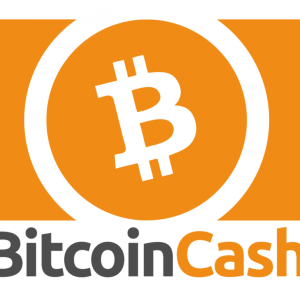 Bitcoin Cash (BCH) and the Latest Developments