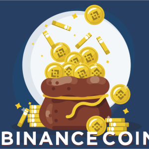 Binance Coin Price Analysis: Will Binance Coin (BNB) Cross $35 Mark Again Soon?