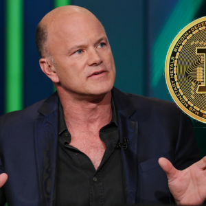 Bitcoin Will Be Stabilized Between $10,000 – $14,000, Says Mike Novogratz