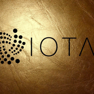 How to pick the best IOTA Wallet?