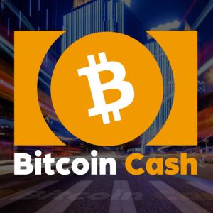 Fears of Centralized Transactions will Have a Short-term Impact on Bitcoin Cash (BCH)