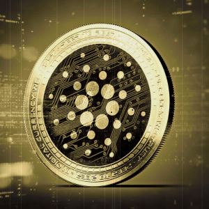 Investment On Cardano May Not Be Benefitting