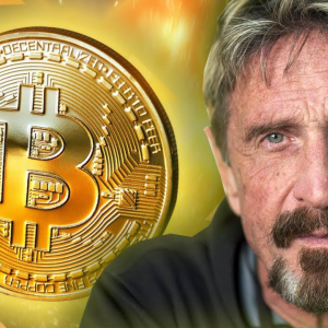 John McAfee Predicts that Bitcoin will hit $1 million by 2020