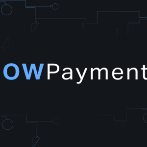 NowPayments Review: A Non-Custodial Service for Integrating Cryptocurrency Payments into Your Business