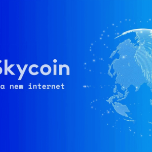 Overview of the Skycoin