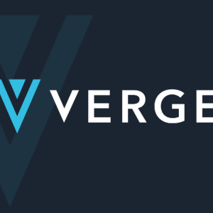 Pornhub Model Riley Steele Shows Support for Verge (XVG) After Paypal’s Withdrawal