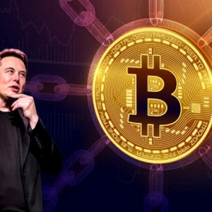 Elon Musk Continues to Tickle the Crypto Market, This Time Its Bitcoin