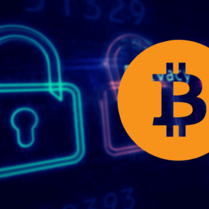 Is Bitcoin the Best Source for Execution of Private Transactions?