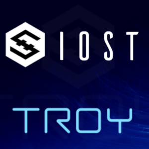IOST Enters Into Partnership With TROY Network