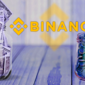 Was Binance Discussing A Possible Re-Org A Bug Question Mark On Decentralization?