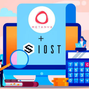 Metanyx to provide Enterprise solutions based on the IOST Core protocol
