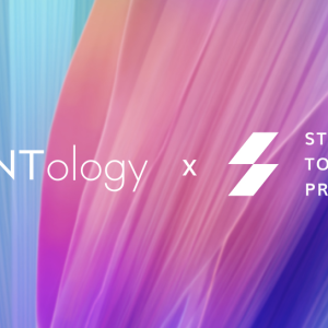 STP Network Receives Strategic Investment From Ontology