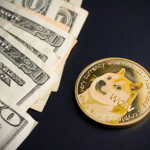 Dogecoin (DOGE) Price Prediction : Dogecoin’s Market on a Continual and Stable Progress