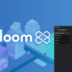 Introduction to the Loom Network