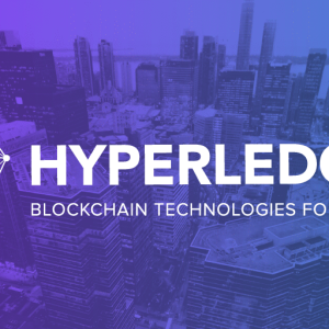 Hyperledger: A Blockchain Believer and Beyond