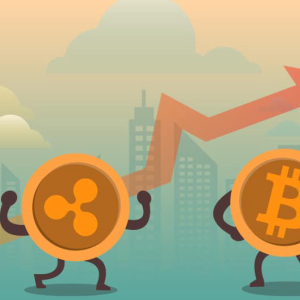 Bitcoin Vs. Ripple: BTC and XRP Prices Saw an Escalation of More Than 1.5% in Last 24 Hours