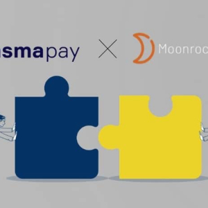 PlasmaPay Partners with Moonrock Capital To Expand DeFi Cluster
