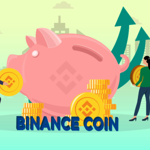 Binance Coin (BNB) Price Analysis: Will Binance Coin Cross Its All-time High Once Again?