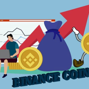 Binance Coin (BNB) Reflects Immense Growth Overnight; Resistance Seems Likely Around $18.31
