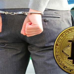 U.S. Federal Court Denies Release of Alleged Canadian Bitcoin Conman