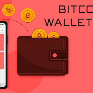 What Are the Different Methods of Developing a Bitcoin Wallet App?