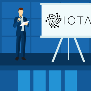 IOTA Price Reflects Moderate Recovery; Price At $0.24