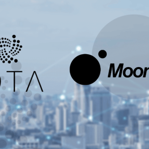 Trinity Users Can Directly Purchase IOTA From the Wallet With Moonpay