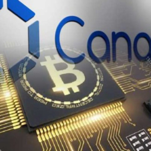 Bitcoin-Mining Machine Manufacturer Canaan Plans to Undertake a U.S Initial Public Offering