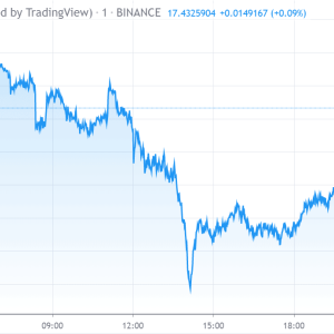 Binance Coin price falls down below $17.40