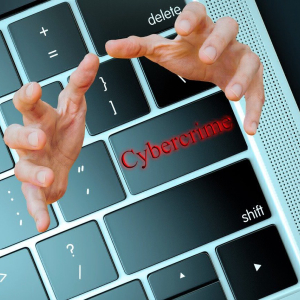 Cybercrimes demanding crypto ransom raise concern