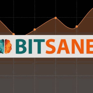 The mysterious case of when Bitsane vanished from Ireland