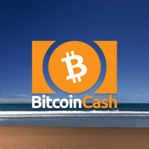 Bitcoin Cash price rests at $377