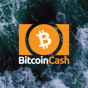 Bitcoin Cash price rises above $348