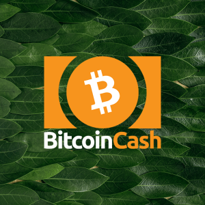 Bitcoin Cash price rests at $384