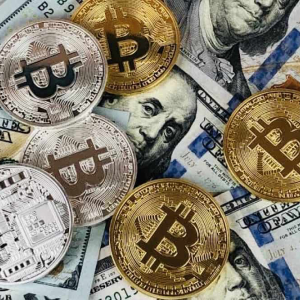 Bitcoin Cash Price: slides down to $243
