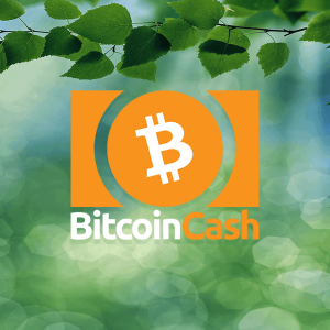 Bitcoin Cash price retraces towards $352