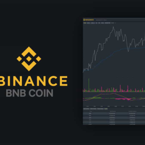 Binance went down for unscheduled maintenance, mixed reactions from traders