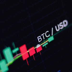 Bitcoin price hits the year to date high
