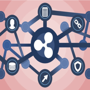 XRP Community Fund to operate as a full fledged foundation from Netherlands