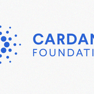 Cardano COTI partnership for payment solution