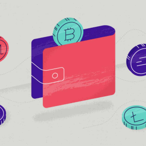 How can crypto wallets serve us in everyday life?