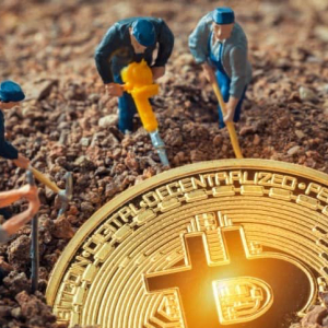 Miners Feeding Frenzy Begins: Could Bitcoin March to 75K?