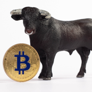 Bitcoin bull market ahead: Will history dictate the future?