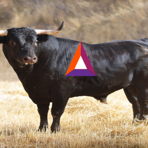 Basic Attention token price analysis: A bull run to 1900 Satoshis