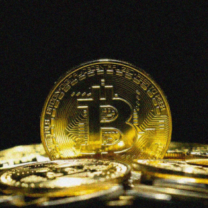 Bitcoin price & popularity to increase with stimulus: analyst